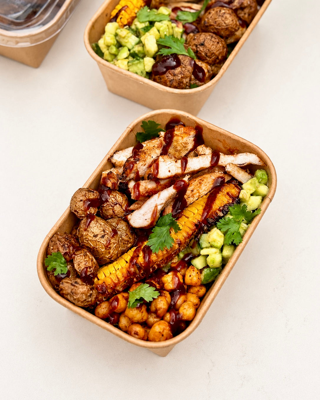 1 MEAL / DAY PLAN